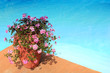 Swimming Pool with Exotic Flowers Swimming Pool with Exotic Flowers