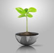 green plant on earth