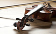 Violine Geige