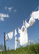 Female underwear