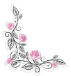 Vektor: Rosen, Ranke, flora, Blumen, Blüten, schwarz, pink Rosen, Ranke, flora, Blumen, Blüten, schwarz, pink