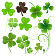 Patrick's Day Leaves