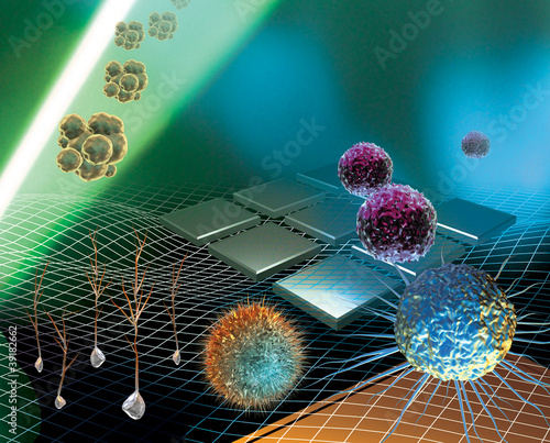 Illustration: Stem cell research Stem cell research