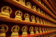 rows of golden buddha statue rows of golden buddha statue