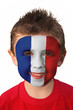 Face Paint - French Flag