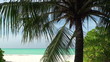 wild beach with white coral sand