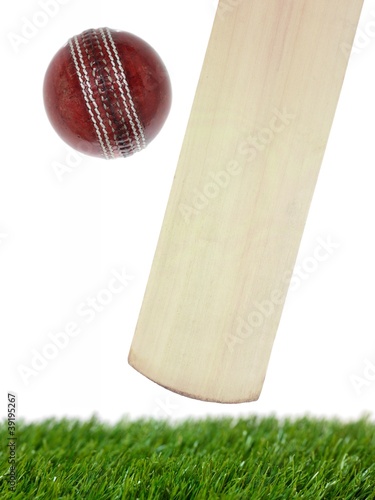 Photo: Cricket Cricket