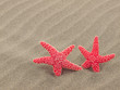 Two Red Starfish on the Beach with Windswept Sand Ripples Two Red Starfish on the Beach with Windswept Sand Ripples