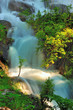 The mountain river flows among stones and wood The mountain river flows among stones and wood