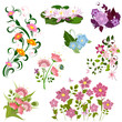 Photo en ligne au meilleur prix set of flowers