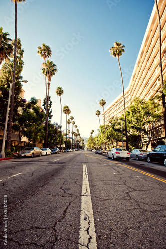 Photo: Palm streets of Beverly Hills Palm streets of Beverly Hills