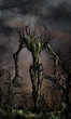wrath of the nature
