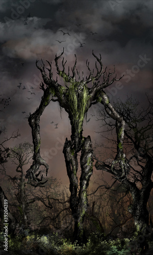 Photo: wrath of the nature wrath of the nature