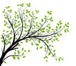 vector set - green decorative branch and leaves