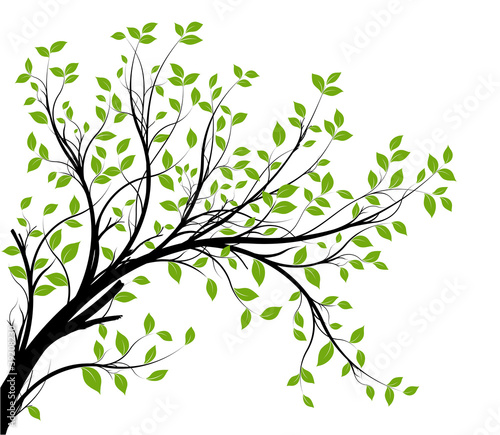 Vector: vector set - green decorative branch and leaves vector set - green decorative branch and leaves