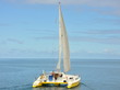 Homme qui voyage seul avec son catamaran