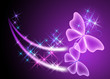 butterflies and stars butterflies and stars