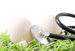 Two Eggs on Grass with Stethoscope Tool