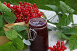 Johannisbeermarmelade