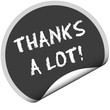TF-Sticker rund curl unten THANKS A LOT!