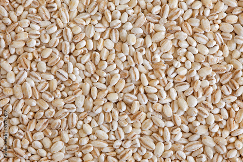 Photo: Pearl barley (pearled barley) Pearl barley (pearled barley)