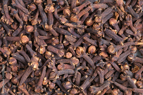 Photo: Clove (Syzygium aromaticum) Clove (Syzygium aromaticum)