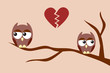 Owls after an argument