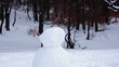 Video: construction of a snowman construction of a snowman