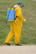 Foto: spraying spraying