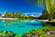 Foto: Tropical resort with a green lagoon and palm trees Tropical resort with a green lagoon and palm trees