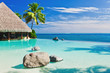 Infinity pool with palm tree overlooking ocean