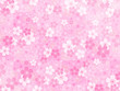 和紙桜