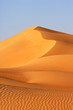 Dune Landscape