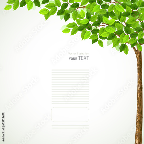 Vector: Season tree with green leaves Season tree with green leaves