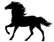running horse silhouette - black vector outline