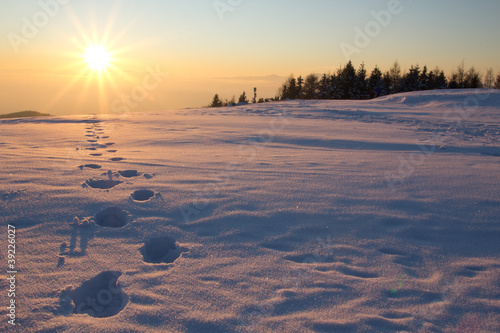 Photo: der sonne entgegen der sonne entgegen