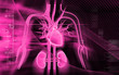 heart, kidney and nerves heart, kidney and nerves