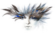 Illustration: feathers around eyes (series C) feathers around eyes (series C)