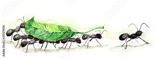 Illustration: ants team (series C) ants team (series C)