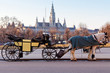 Foto: Fiaker in Wien Fiaker in Wien