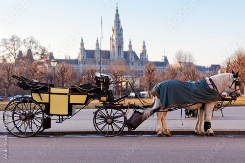 Photo: Fiaker in Wien Fiaker in Wien