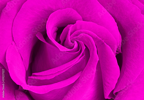 Foto: lila Rose lila Rose