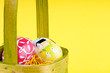 The eggs
