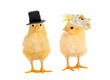 Photo: Chick wedding Chick wedding