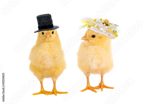 Photo: Chick wedding Chick wedding