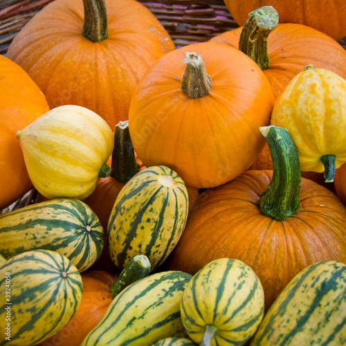 Photo: Organic squash and pumpkins in basket Organic squash and pumpkins in basket