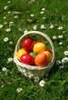 Ostern im Freien