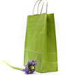 Frühlingsblume und Papiertragetasche