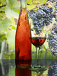 Rose wine