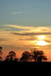 sunset silhouette